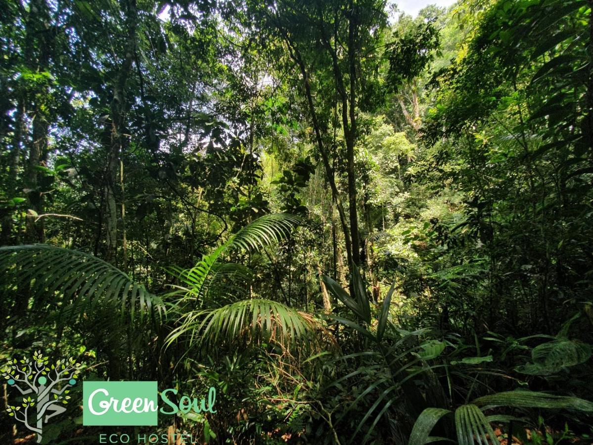 Greensoul Hospedagem Ubatuba Exterior foto